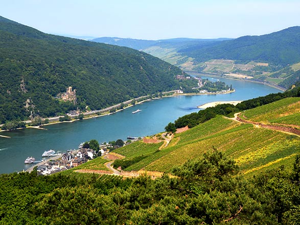 Escale Rudesheim (Allemagne)